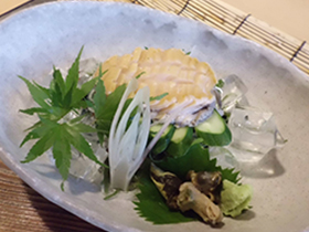 ちょこっとグレードアップ／アワビの刺身コリコリなアワビのお刺身＋鮮魚会席プラン