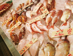 美味!日本海グルメ