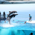 上越市立水族博物館