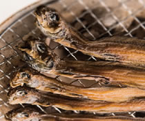 上越地域ご当地自慢合戦　食の部門グランプリ！　幻魚の干物